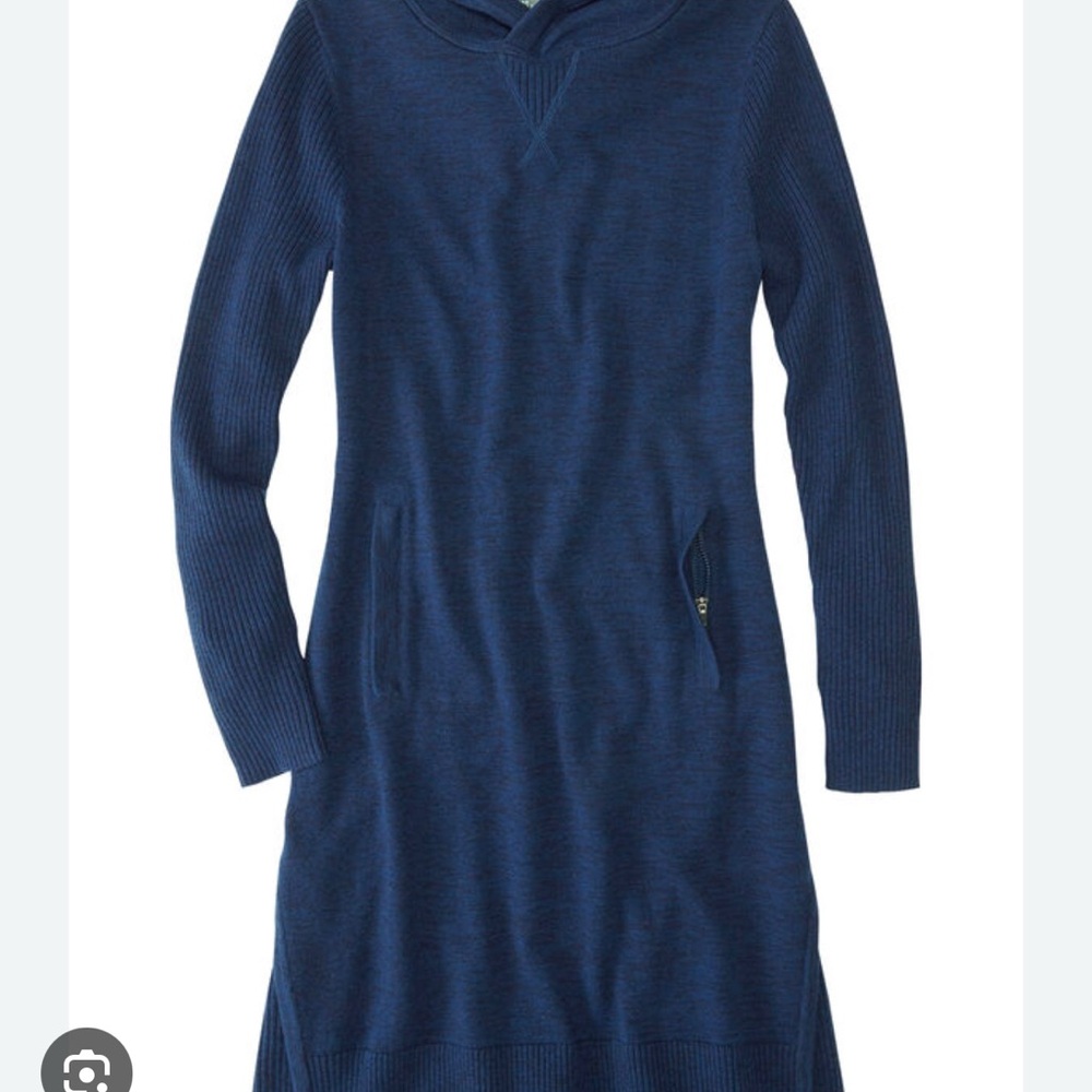 Title Nine Impulse Hoodie Sweater Dress